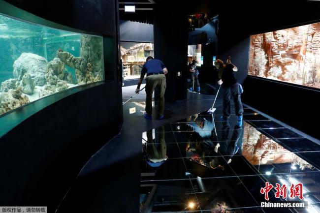 Hier, le plus grand aquarium d'Europe a ouvert ses portes dans la ville de Lausanne, en Suisse.