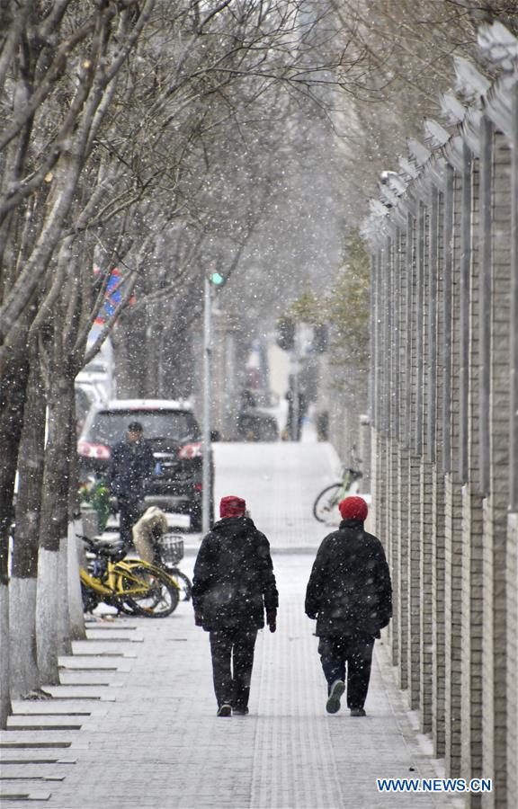Chutes de neige à Beijing après les vacances de la fête du Printemps