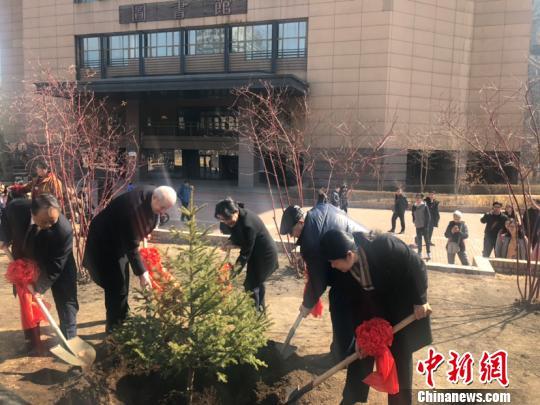 Китайские и российские студенты посадили дерево дружбы