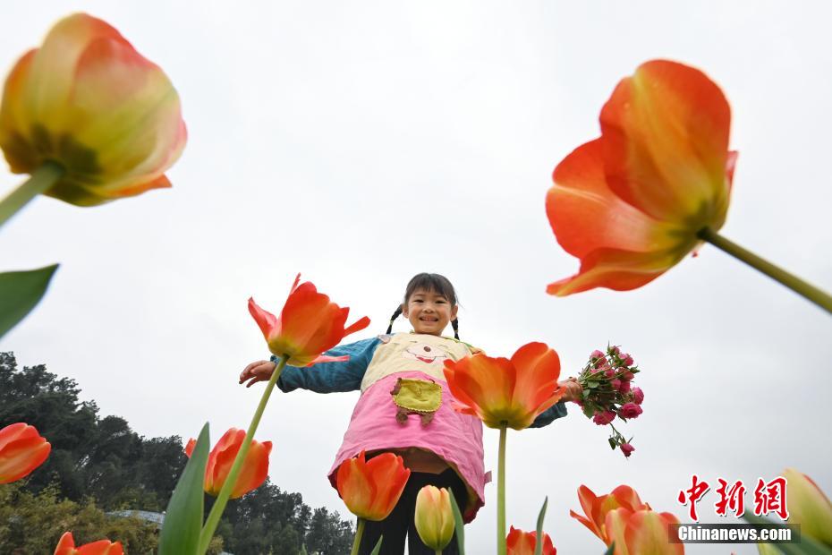 Pesta Budaya Ekologi Bunga Terkenal Dunia Hunan Ke-16