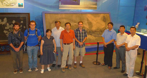 生命之石 探求之旅 ——專訪貴陽金陽古生物化石博物館館長金仁義