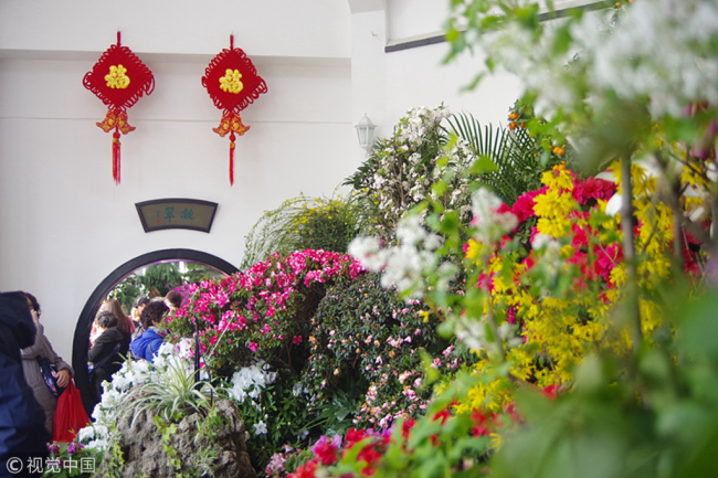 Le 22 février, des visiteurs se suivent sans interruption dans le parc de Zhongshan, ces derniers étant venus pour admirer l’exposition de fleurs ouverte au public pendant la Fête du Printemps.