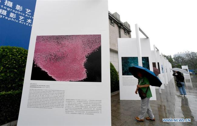  Des visiteurs admirent des photos exposées lors du 17e Festival international de l'art photographique de la Chine à Zhengzhou, capitale de la province centrale du Henan, le 19 mai 2018. (Photo : Zhu Xiang)