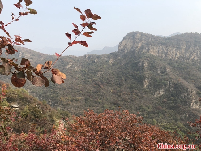 Pofengling est une colline particulièrement renommée pour sa couverture automnale de feuilles rouges, raison pour laquelle elle reste un endroit très prisé pour une sortie saisonnière chez les résidents de Beijing. Elle se trouve à seulement 52 km du centre-ville de la capitale. La zone d'observation des feuilles rouges couvre quant à elle environ 100 hectares et un sentier de randonnée long de 6 km ne représente qu'un défi modéré en raison de la pente douce de la montagne.