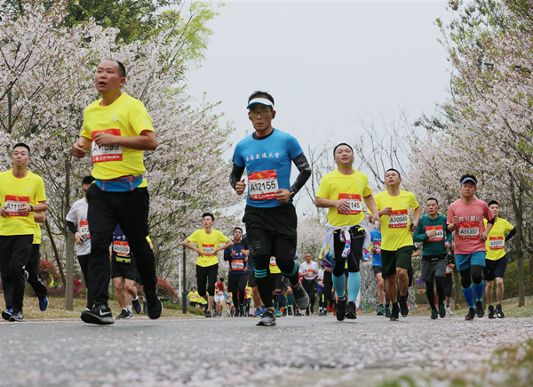 Les joueurs passent par la piste de fleurs de cerisier (photographe : Lei Tong)