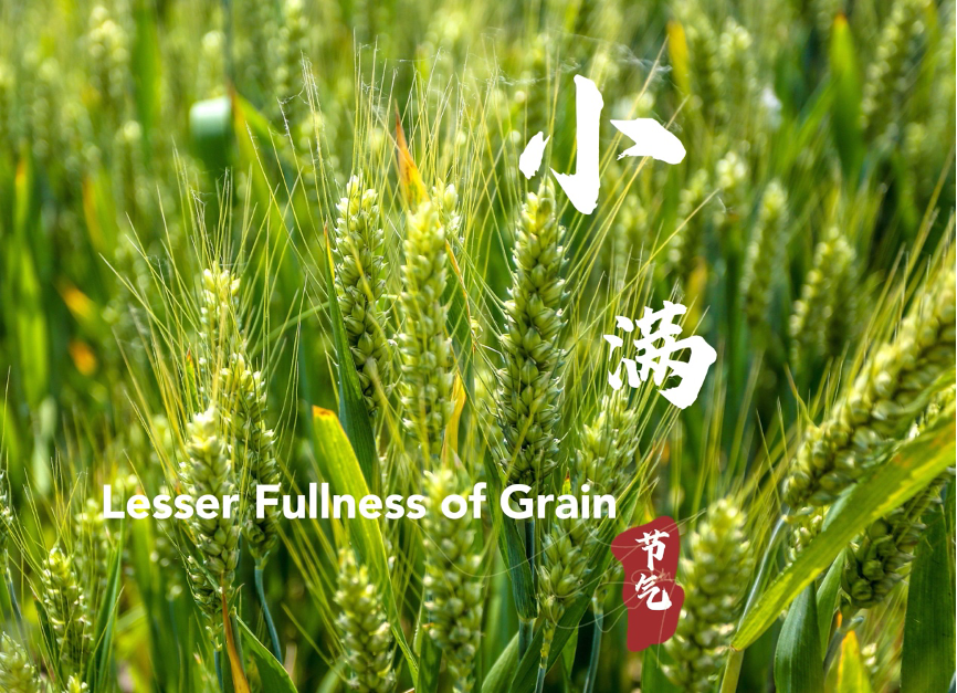 Lesser Fullness of Grain: সিয়াও মান