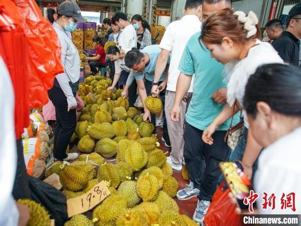 Durian Thailand Laris di Nanning