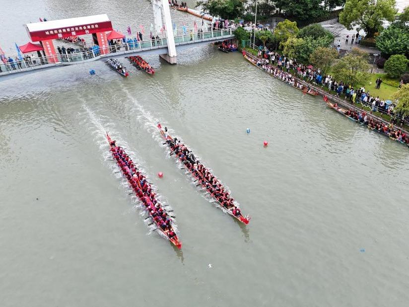 Mendayung Perahu di Ambang Pesta Duanwu