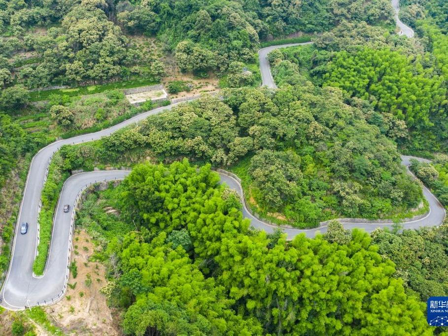 Pembinaan Jalan Mustahak bagi Pembangunan Desa