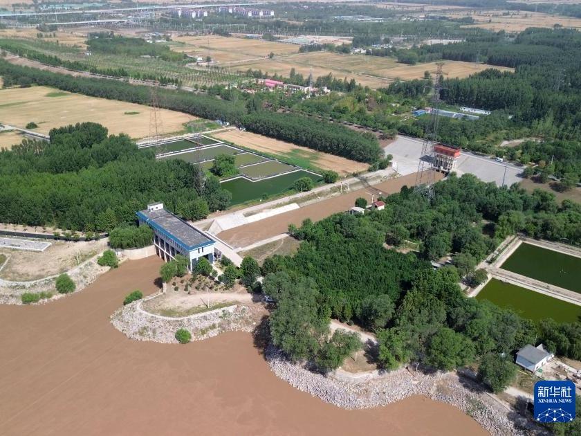 Berusaha Lindungi Semaian Padi Semasa Musim Kemarau di Shandong