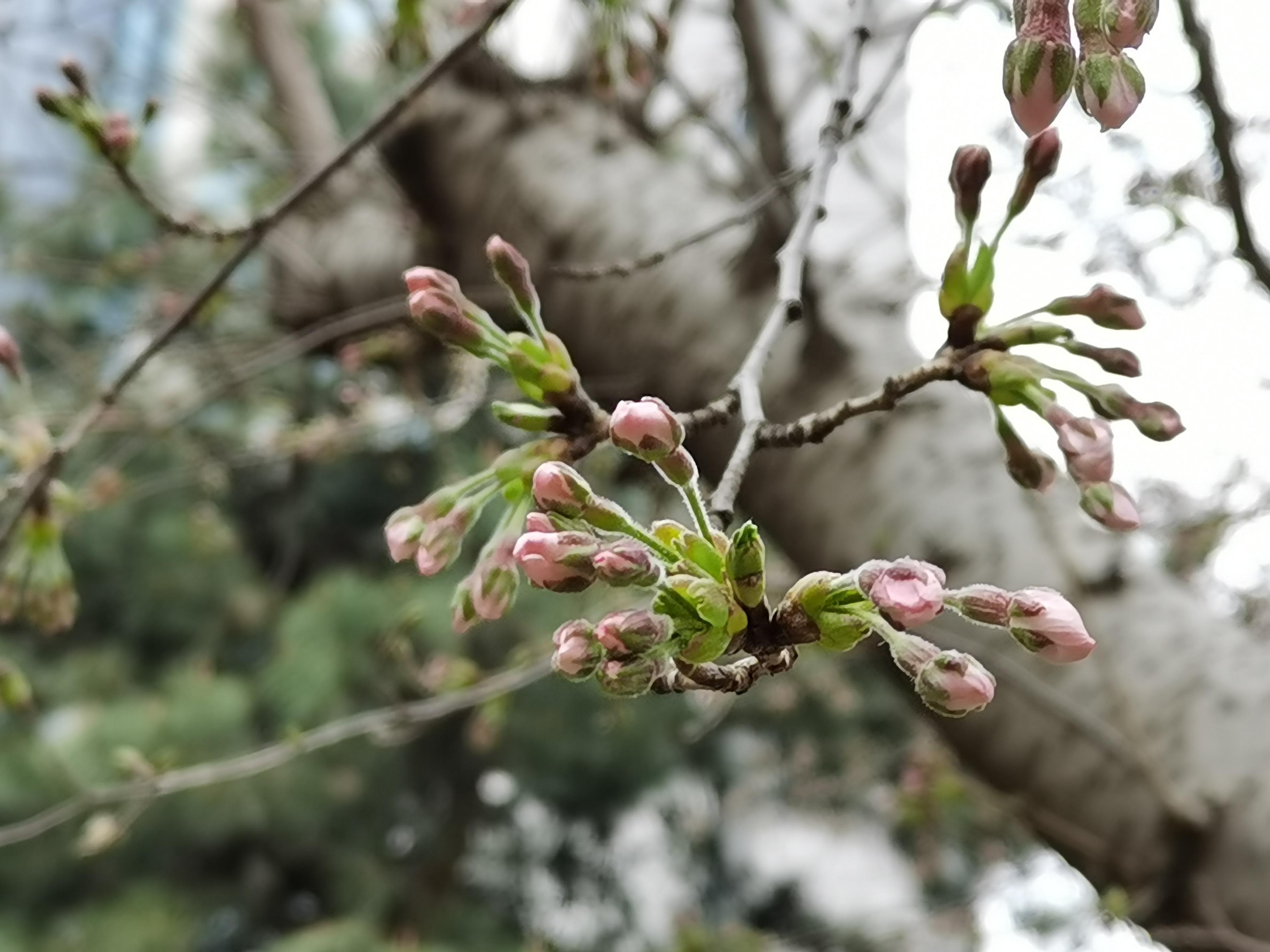 3月29日　火曜日