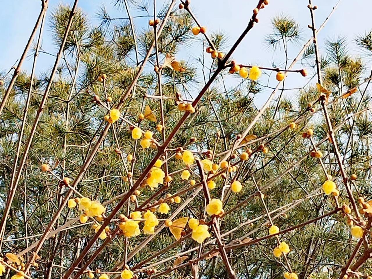 2月14日　火曜日