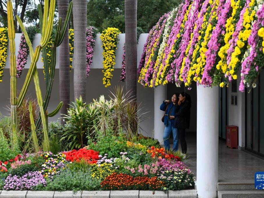 Pameran Bunga Kekwa Shenzhen 2023