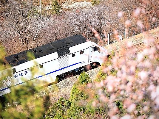 Kereta Api ‘Menuju’ ke Musim Bunga