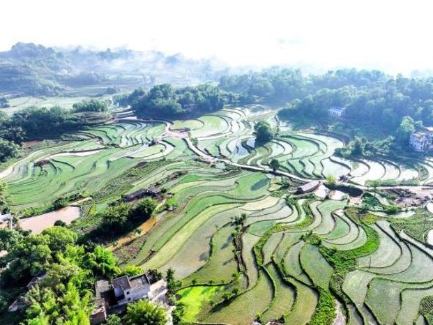 Hejiang Serlah Landskap Pastoral Penuh Dinamik
