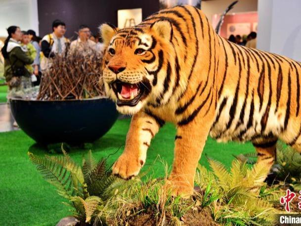 Pameran Spesimen Haiwan Dikunjungi Ramai