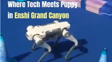 Robot Dogs Become the Star! Humans Be Like: I'm Out_fororder_企業微信截圖_1746692375642