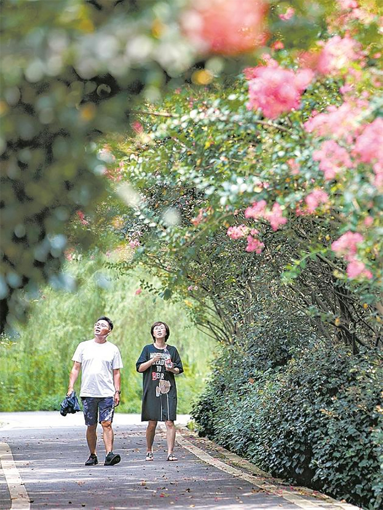 （轉載）成都：持續做優公園城市的鄉村表達_fororder_未標題-2