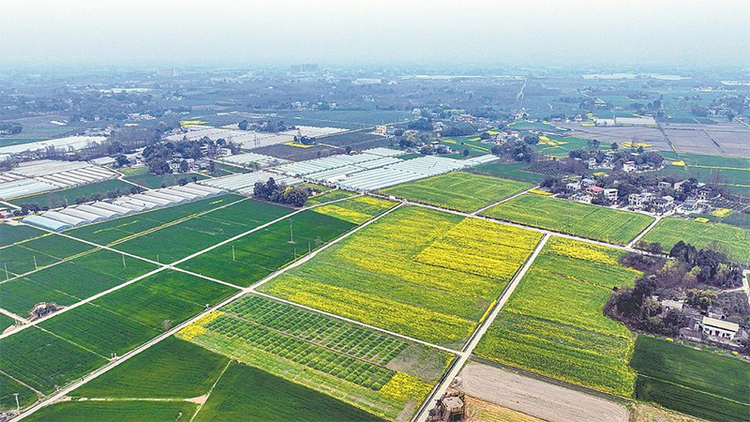 （轉載）成都：持續做優公園城市的鄉村表達_fororder_未標題-1