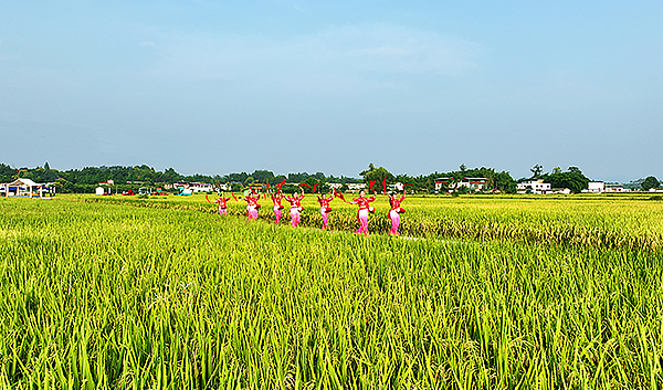 稻花香裏説豐年 巴蜀大地“豐”味足_fororder_rBABCmT_zg-AZ15zAAAAAAAAAAA514.800x470.750x441