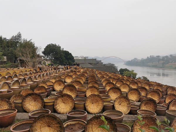 你好，醉美瀘州｜絲路青年為先市醬油“點讚”_fororder_未標題-1