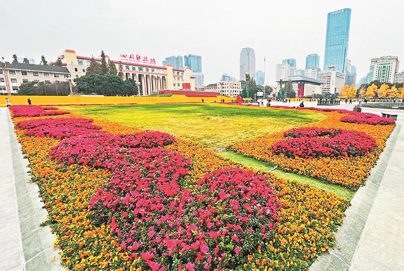 （轉載）公園城市冬日“新花樣”：258萬盆花卉扮靚成都街頭_fororder_未標題-1