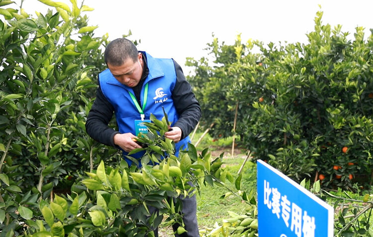 （轉載）內江市資中縣舉辦第二屆“船城技工”職業技能大賽