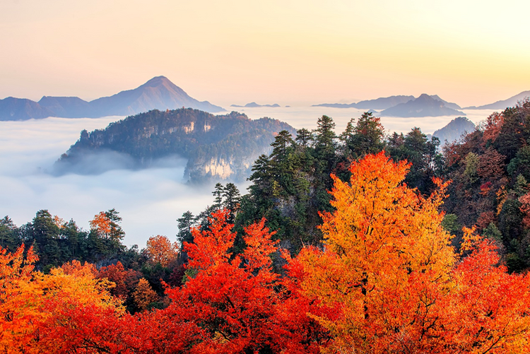 巴中將溶洞奇觀帶到了成都世園會_fororder_巴中光霧山美景  供圖  巴中市住建局