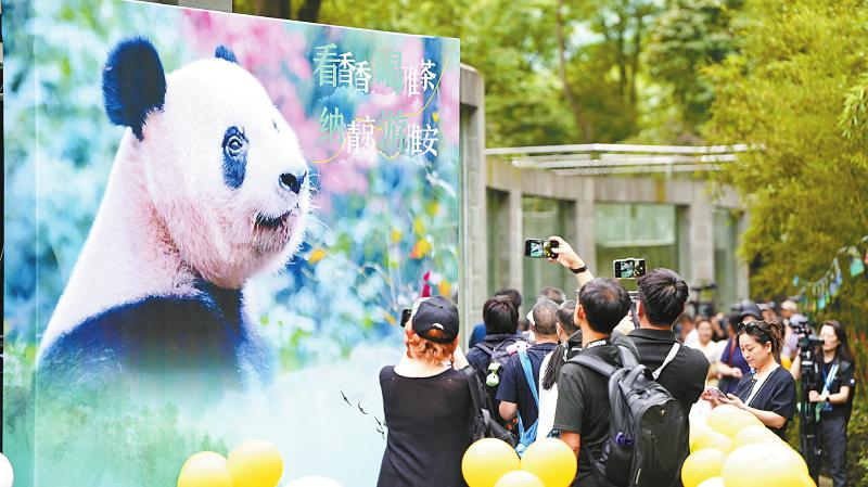 （轉載）探熊貓故鄉 品蜀風茶韻 中外媒體主題採訪活動走進四川_fororder_d34dd63047420030c9928240a3cbbd68