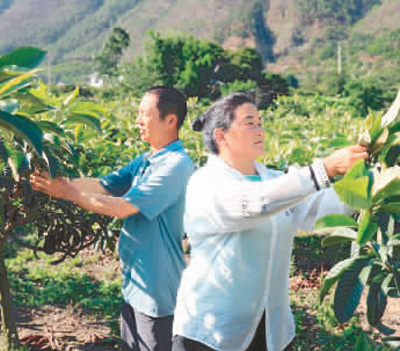 （轉載）　　涼山，那一片熱土