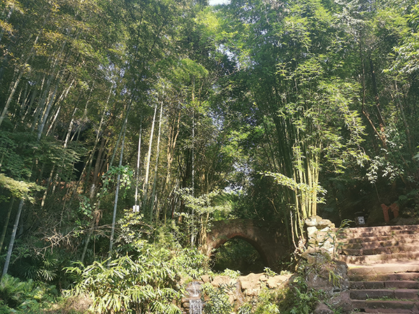 眉山中岩寺：東坡“喚魚”聯姻成佳話 李白詩意千古傳_fororder_中岩寺一景-攝影呂鳳瑤