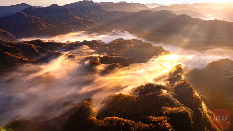 巴中光霧山：漫山紅葉醉遊人