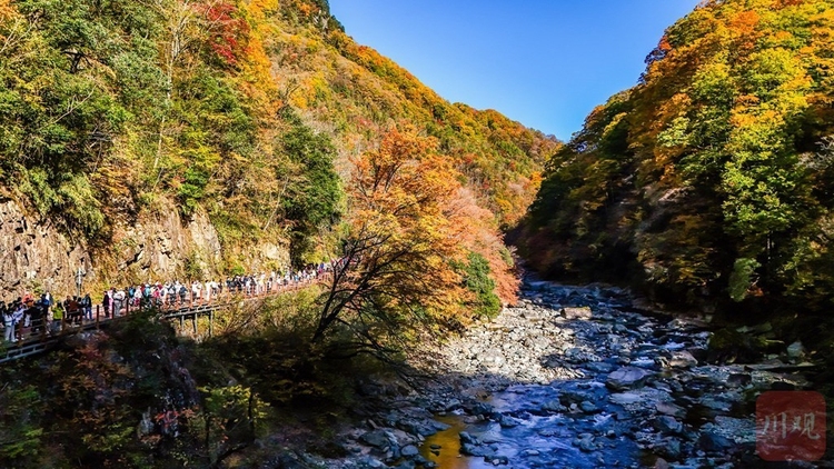 巴中光霧山：漫山紅葉醉遊人