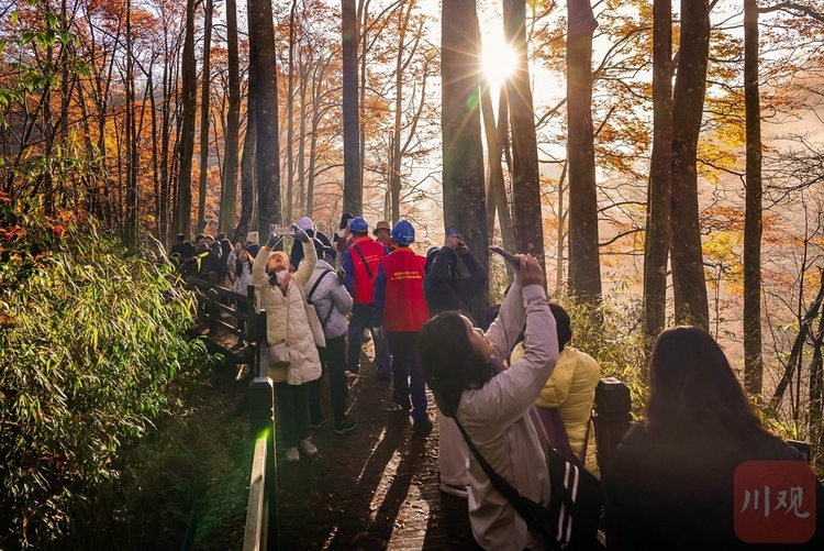 巴中光霧山：漫山紅葉醉遊人