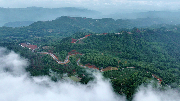 瀘州納溪：美麗鄉村路串起鄉村振興新圖景