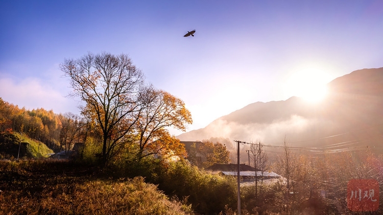 巴中光霧山：漫山紅葉醉遊人