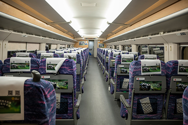 Twin-City Tour Now Boarding: The "Panda Tourism Train" Between Shenzhen and Chengdu Sets Off