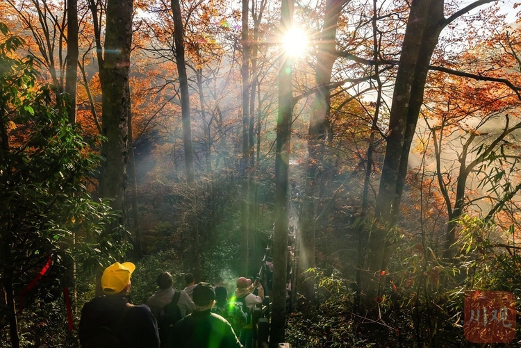 巴中光霧山：漫山紅葉醉遊人