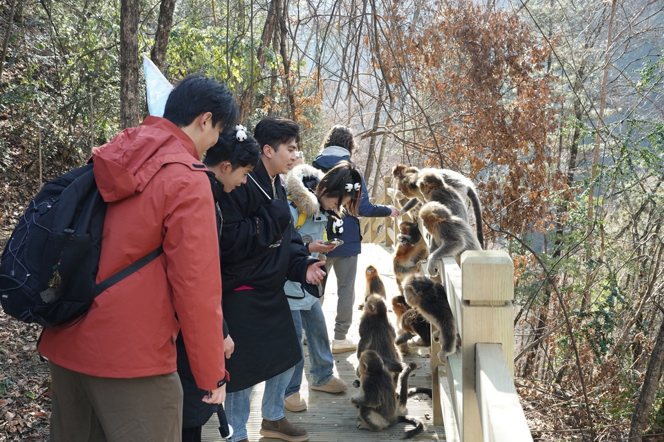 Captured Moments of Love in Aba: Baihe National Nature Reserve