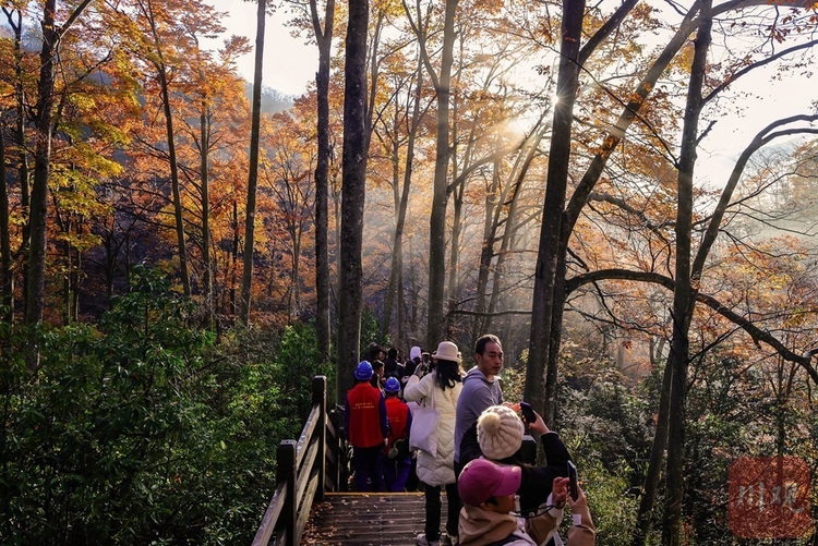 巴中光霧山：漫山紅葉醉遊人