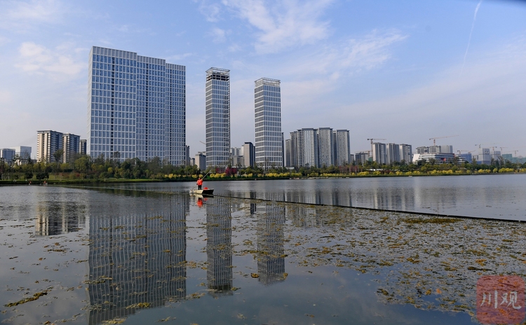 四川成都：怡心湖“美容師” 守護碧水清波成“風景”