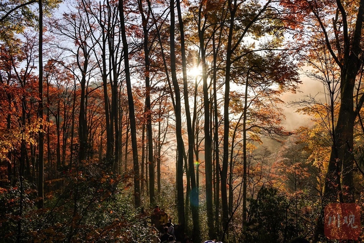 巴中光霧山：漫山紅葉醉遊人