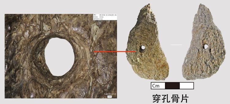 全國十大考古新發現初評名單揭曉 四川省資陽市濛溪河遺址群為何入選？