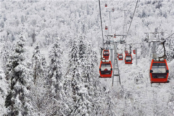 成都森林文化節暨第21屆南國國際冰雪節將於12月24日開幕