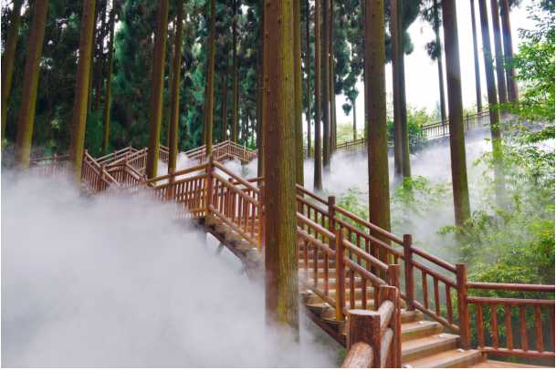 （轉載）【商訊】綠水青山“種”出“金山銀山” 從“綠水青山”發佈會一探七里坪的大健康産業實踐