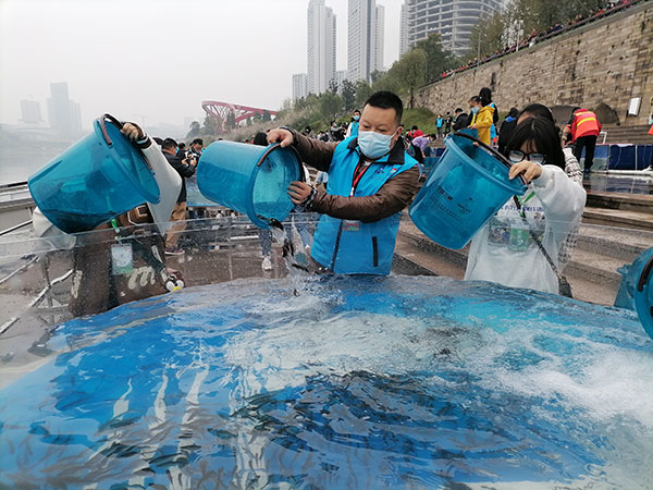 宜賓市開展2021年長江上游珍稀特有魚類增殖放流活動_fororder_放流現場-攝影秦莉萍2
