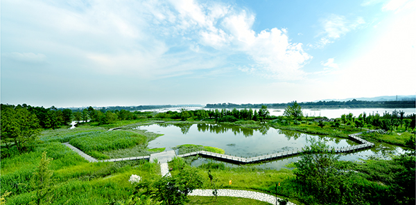 “2022年成都濕地宣傳月”活動正式啟動_fororder_成都各濕地公園景觀--供圖--成都市公園城市建設管理局-(6)