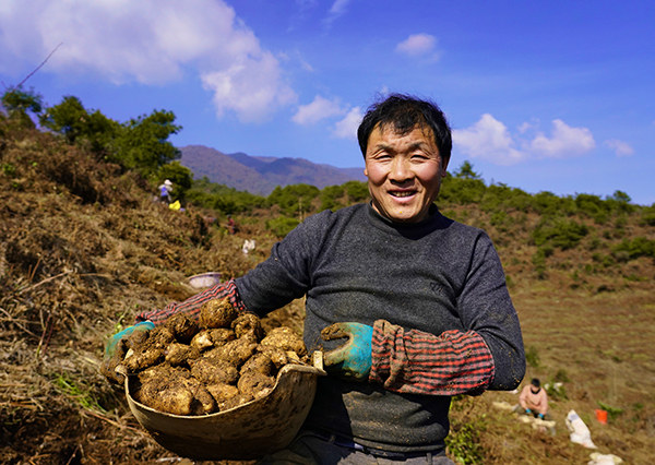 新春走基層｜涼山州雷波：大力發展天麻産業 拓寬增收致富渠道 助推鄉村振興_fororder_mmexport1642929944587