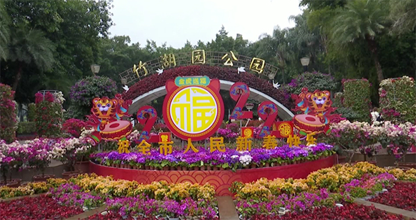 新春走基層｜攀枝花：張燈結綵迎新春_fororder_攀枝花張燈結綵迎新年-供圖-攀枝花市委宣傳部（1）