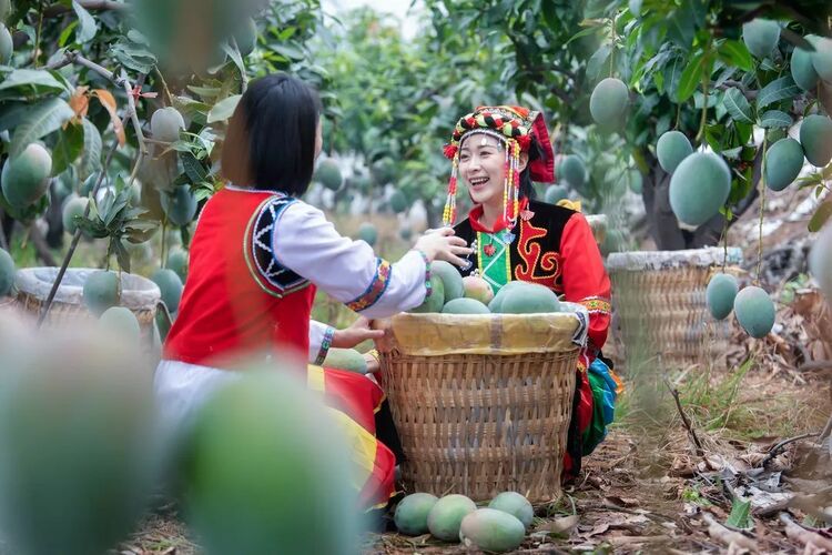 （轉載）中國城市環境舒適度PK 攀枝花躋身全國前十